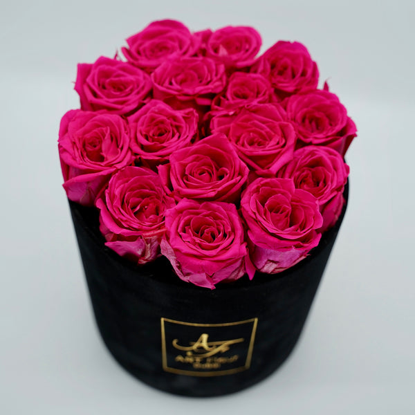 Velours Noir [ForeverRose]