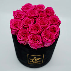 Velours Noir [ForeverRose]